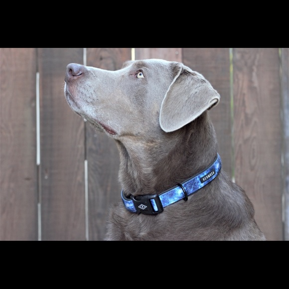 Meet your Posher, Summer - Picture 6 of 6